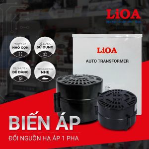 bien-ap-tu-ngau-1500va-lioa