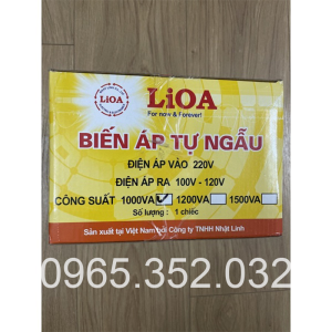 bien-ap-lioa-1000va-doi-nguon-lioa-1000va-input-220v-output-110v-120v