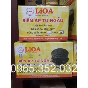 doi-nguon-lioa-600va-bien-ap-tu-ngau-1-pha-600va-input-220v-output-100v-110v-120v